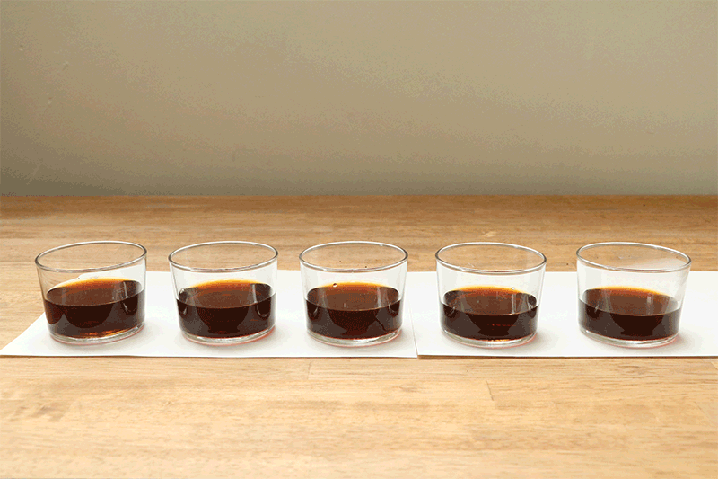 コーヒー　５種類比較