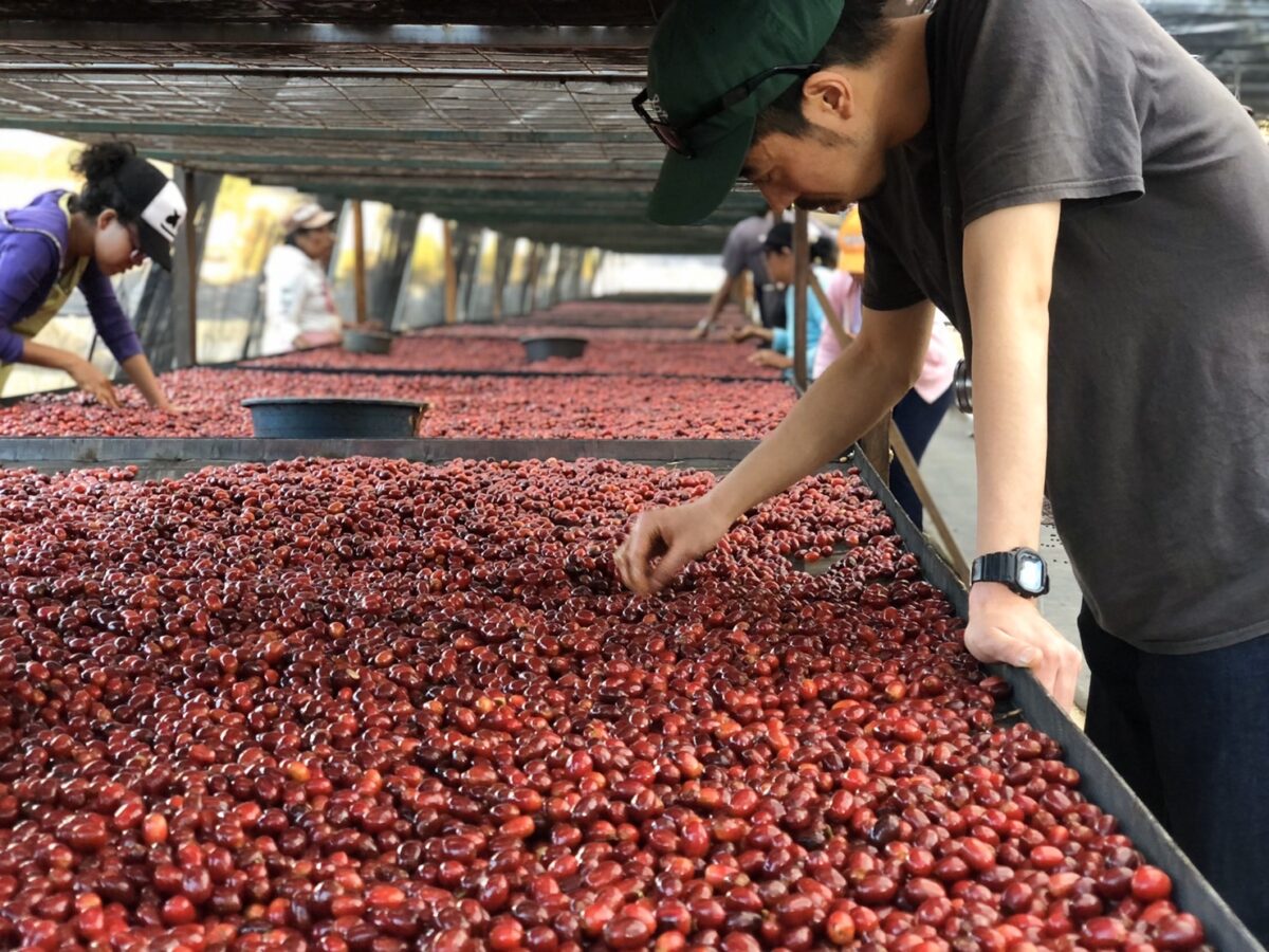 【ocami coffee/熊本県熊本市】