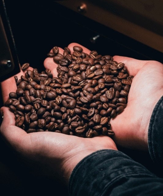 【Coffee LABO FRANK/兵庫県神戸市】